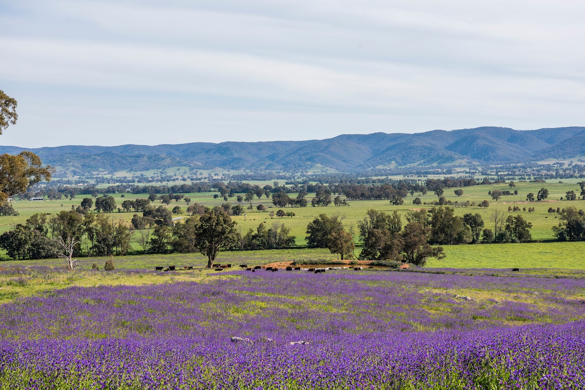 MAY 18 • 1998, image size:1200x800