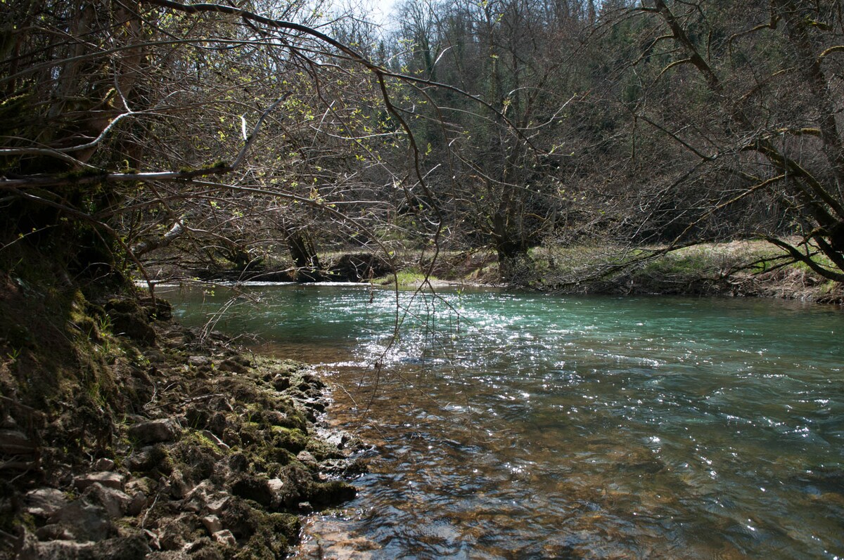 A serene river flows gently through the landscape, bordered by rocky banks and a sparse canopy of trees. Sunlight reflects off the water's surface, creating a shimmering effect, while the surrounding greenery indicates a tranquil natural setting.