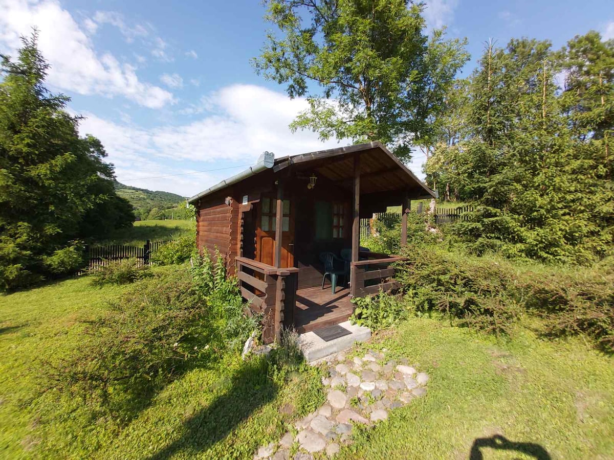 A wooden garden cabin is set among lush greenery, featuring a covered porch with seating. The surroundings include well-maintained grass and shrubs, while a stone pathway leads to the entrance. Trees in the backdrop provide a natural atmosphere.