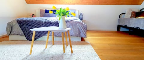 "Stone's throw"Krumlov 5min/car/PLAYRoOM/2 bdroms