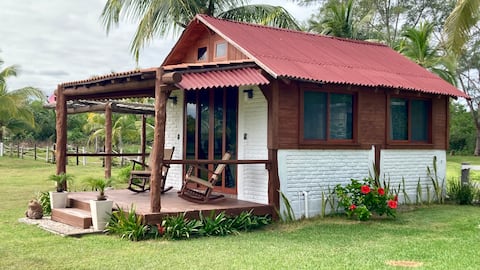 (Palm Trees) Tuxpan! Sea & River Experience