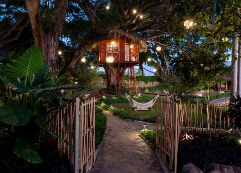 Nido Ecoluxury Treehouse - Tree House