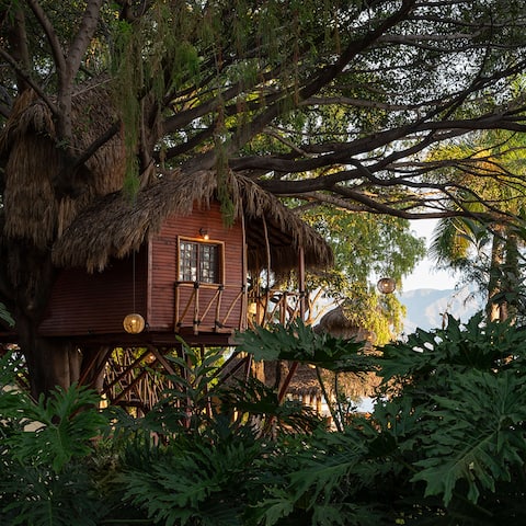 Ecoluxury Nursery - Treehouse (B)