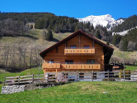Charming chalet apartment in the Gruyère region