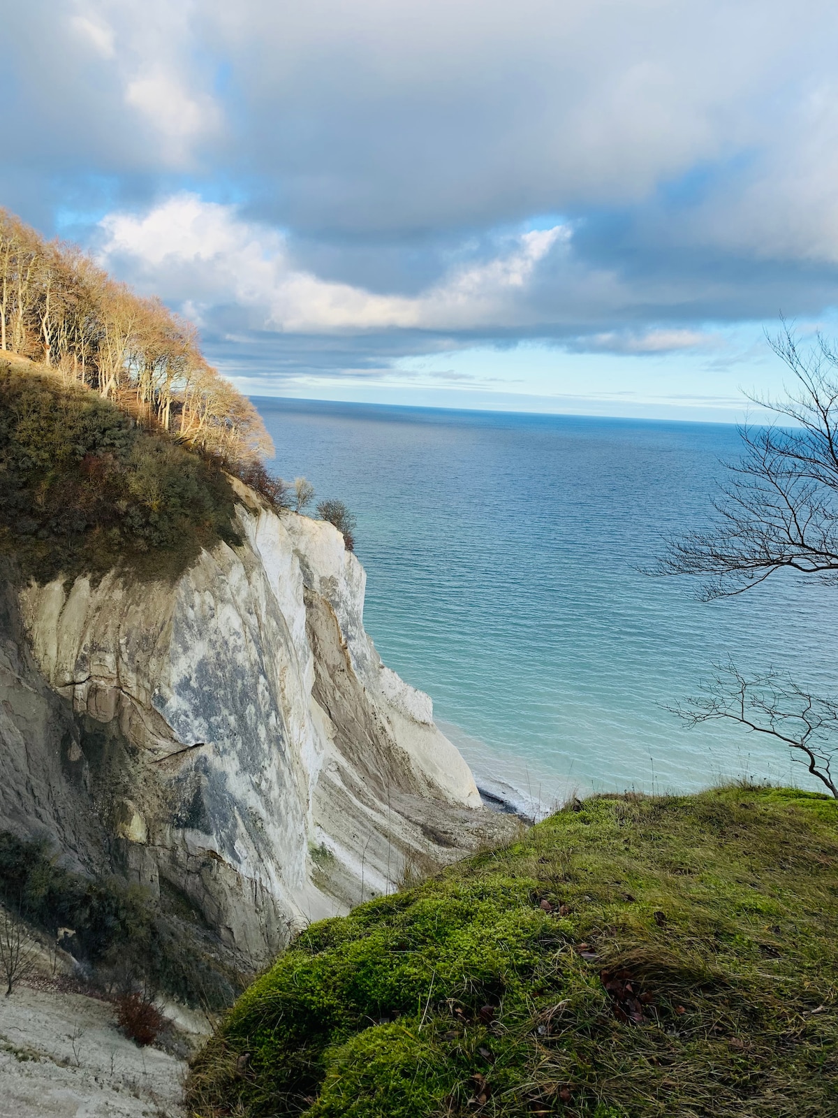 A coastal cliff features layered white chalk rising from the shoreline, overlooking a calm sea. The horizon captures a blend of soft blues and grays, while trees with autumn foliage line the cliff's edge, enhancing the natural beauty of the landscape.