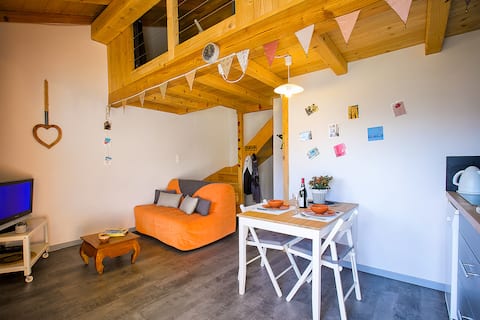 Successful Airbnb property: Small cozy home facing the mountains in Montvalezan