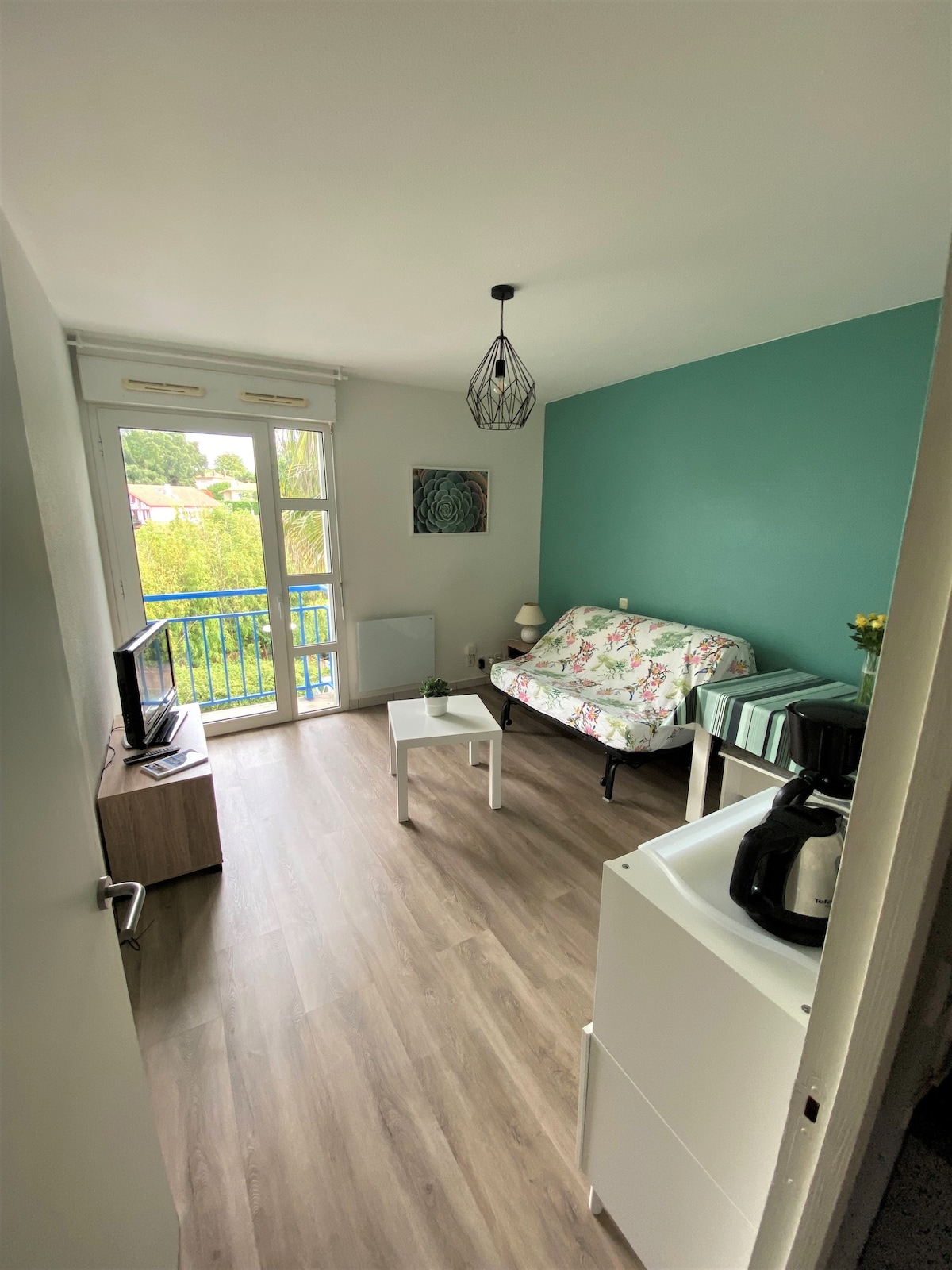 A well-lit studio features a cozy seating area with a floral-patterned convertible sofa. A coffee table is positioned in front, alongside a television on a wooden stand. Natural light enters through glass doors leading to a small balcony, complemented by a subtle wall decoration.