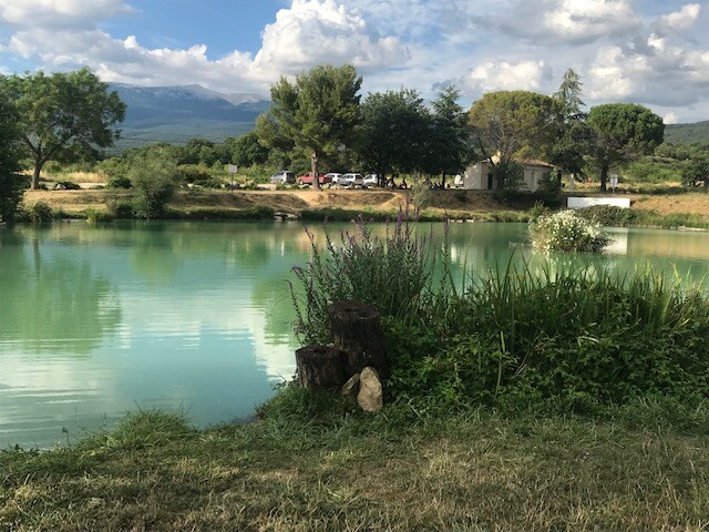 A tranquil lake is surrounded by lush greenery, with reflections of trees and clouds visible on the water's surface. Soft grass leads to the water's edge, and a small wooden stump adds a rustic touch to the serene landscape.