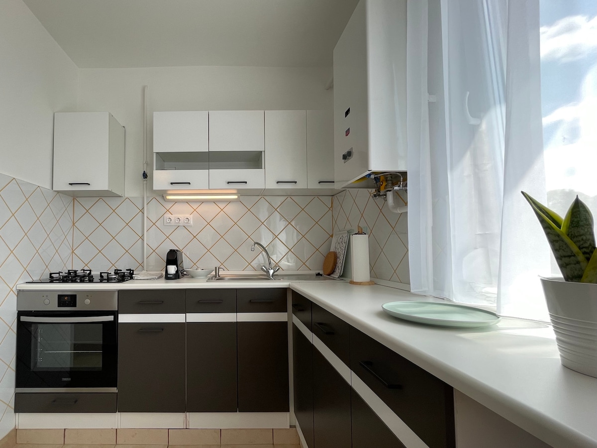 A well-equipped kitchen features modern cabinetry and a white countertop. Essential appliances include a built-in oven and a gas stove. Natural light streams in through the window, enhancing the bright atmosphere. A small potted plant is positioned on the counter.
