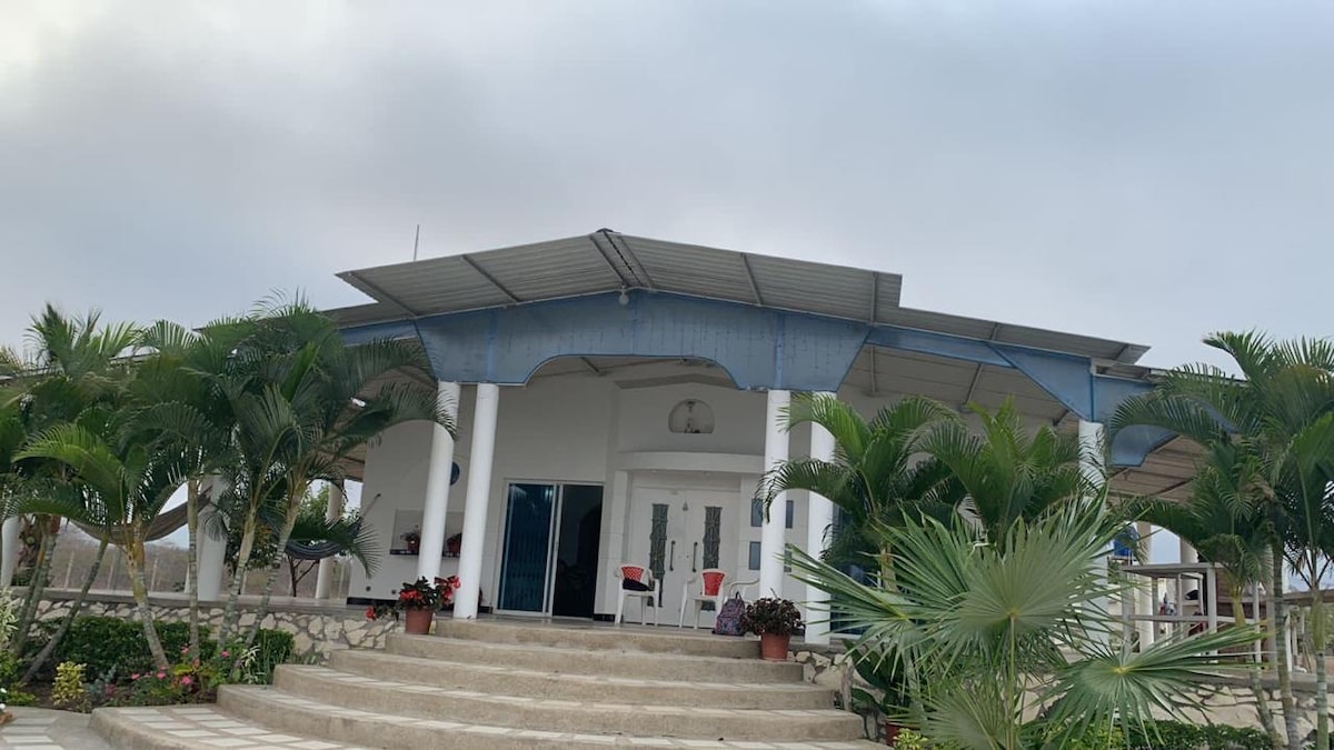A modern house is presented with a large, covered entryway supported by white columns. Lush green palm trees and colorful flowers frame the steps leading up to the front door, enhancing the inviting appearance of the property.