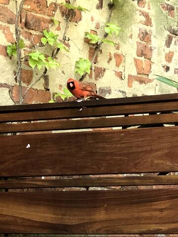 Beautiful, Spacious 4 BR Brooklyn Brownstone gallery image 4