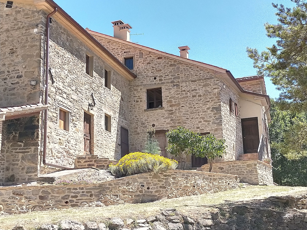 A rustic stone building is presented with multiple windows and doors. The structure is surrounded by greenery and features terraced landscaping with shrubs and low plants. Natural light highlights the textured stone walls, showcasing a harmonious blend with the landscape.