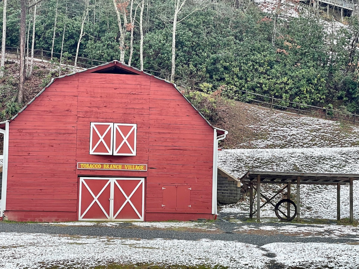 Blueberry Hill Cabin in the Smokies - Cabins for Rent in Almond, North  Carolina, United States