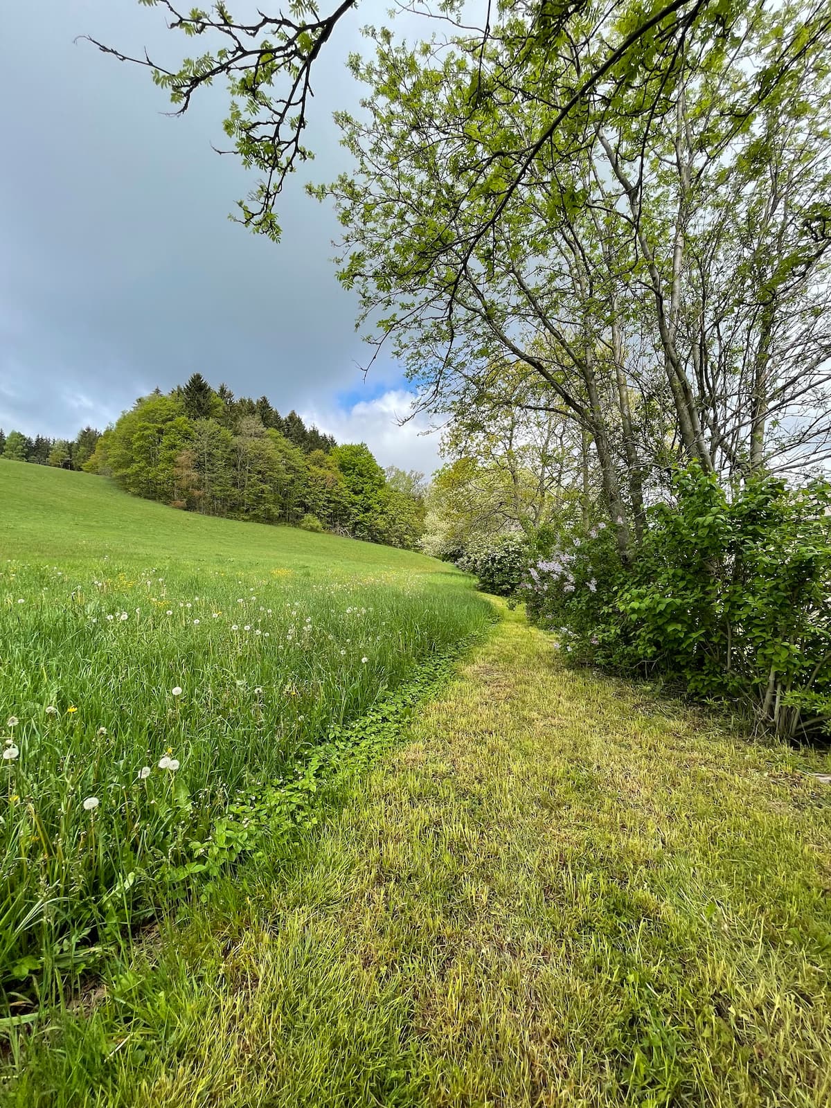 Natur und Landschaft rund um Auerbach