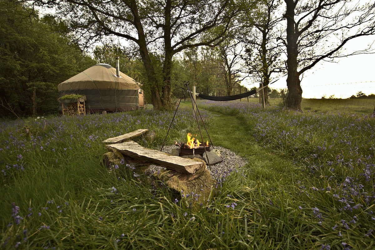 A scenic view of Cumfrey yurt set amidst a grassy clearing, surrounded by blooming bluebells. A fire pit stands in the foreground, with a small fire burning, while a hammock is visible hanging between two trees in the background.