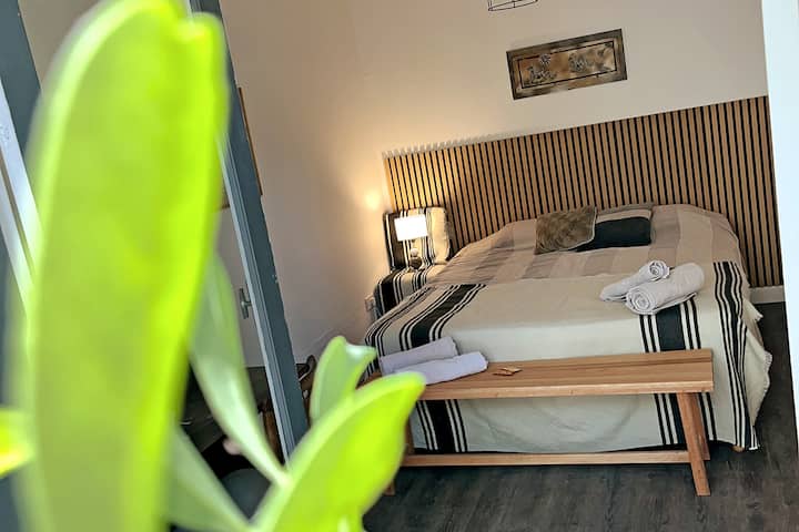Habitación En Suite Con Piscina Y Parque - Mendoza