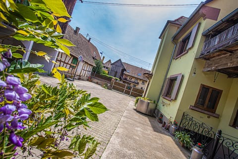 Airbnb performant: Large 4* cottage for up to 14 people, 15 minutes from Europapark à Boofzheim