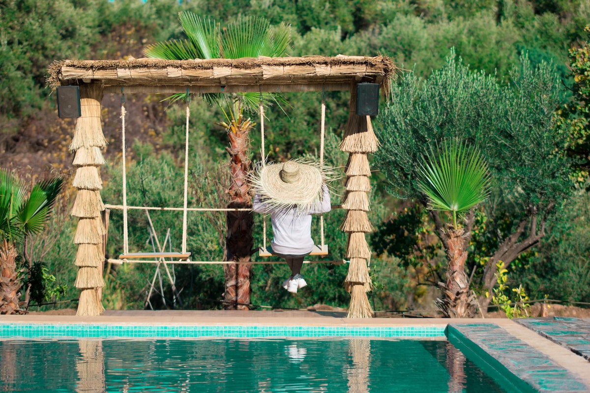 A swing made of natural materials is positioned beside a tranquil pool. Wild greenery, including palm trees, surrounds the area, enhancing the outdoor ambiance. The swing is empty, indicating a peaceful moment in nature.