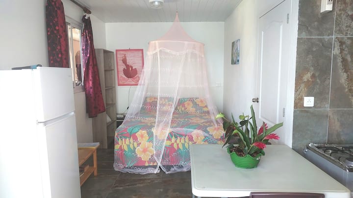 尽管Tereva Lodge的表面积受限（ 20平方米） ，但其标准双人床配有蚊帐、中央空调、免费无线网络和电视，仍然很舒适。