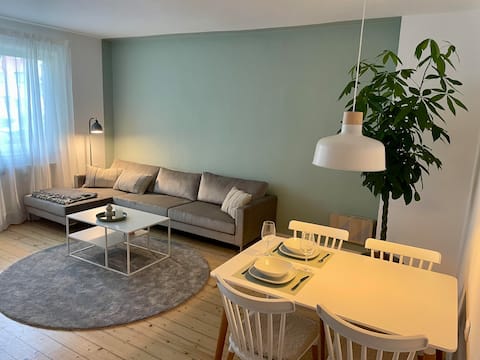 City apartment in Braunschweig