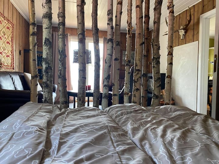 Una pequeña pared de troncos de abedul separa la sala de estar del área para dormir