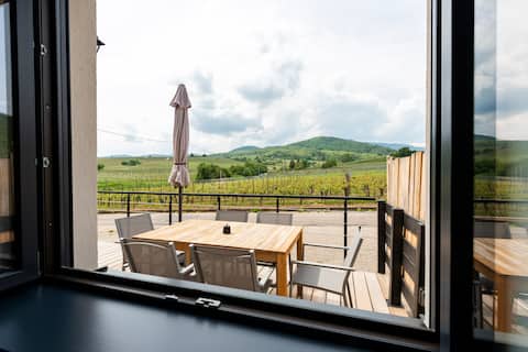 In the heart of the Alsace vineyard in Bergheim