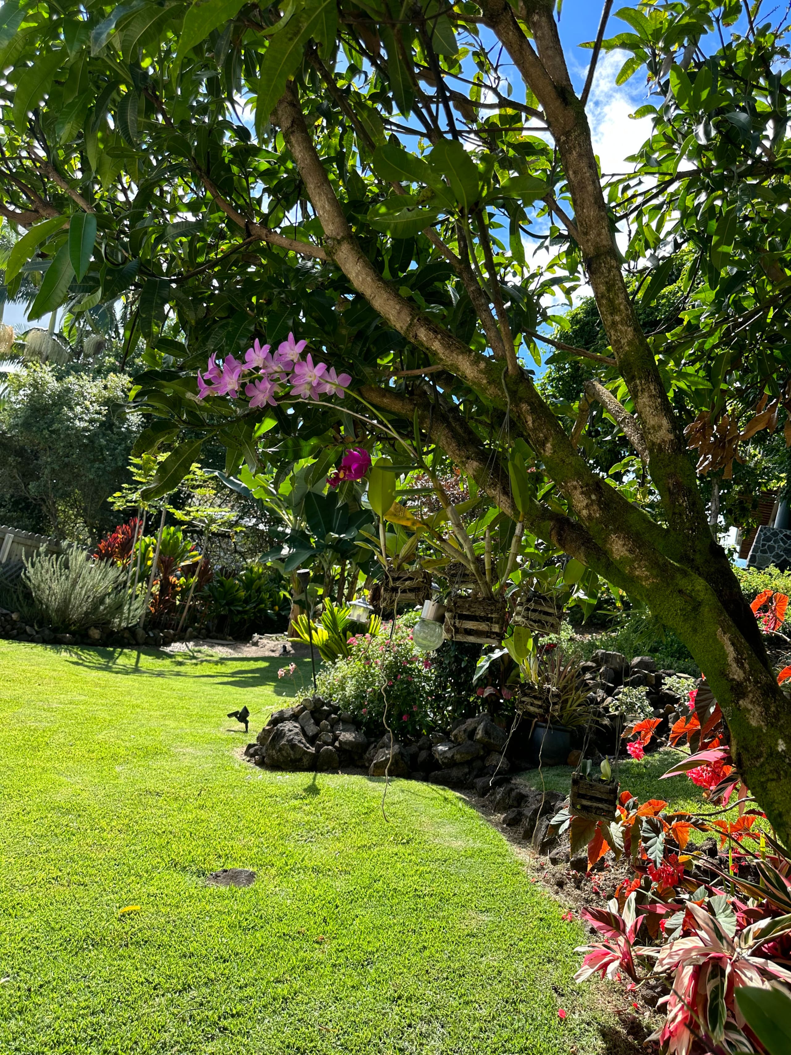Rivendell Oasis: Private Hot tub! NO cleaning fee! - Image 18