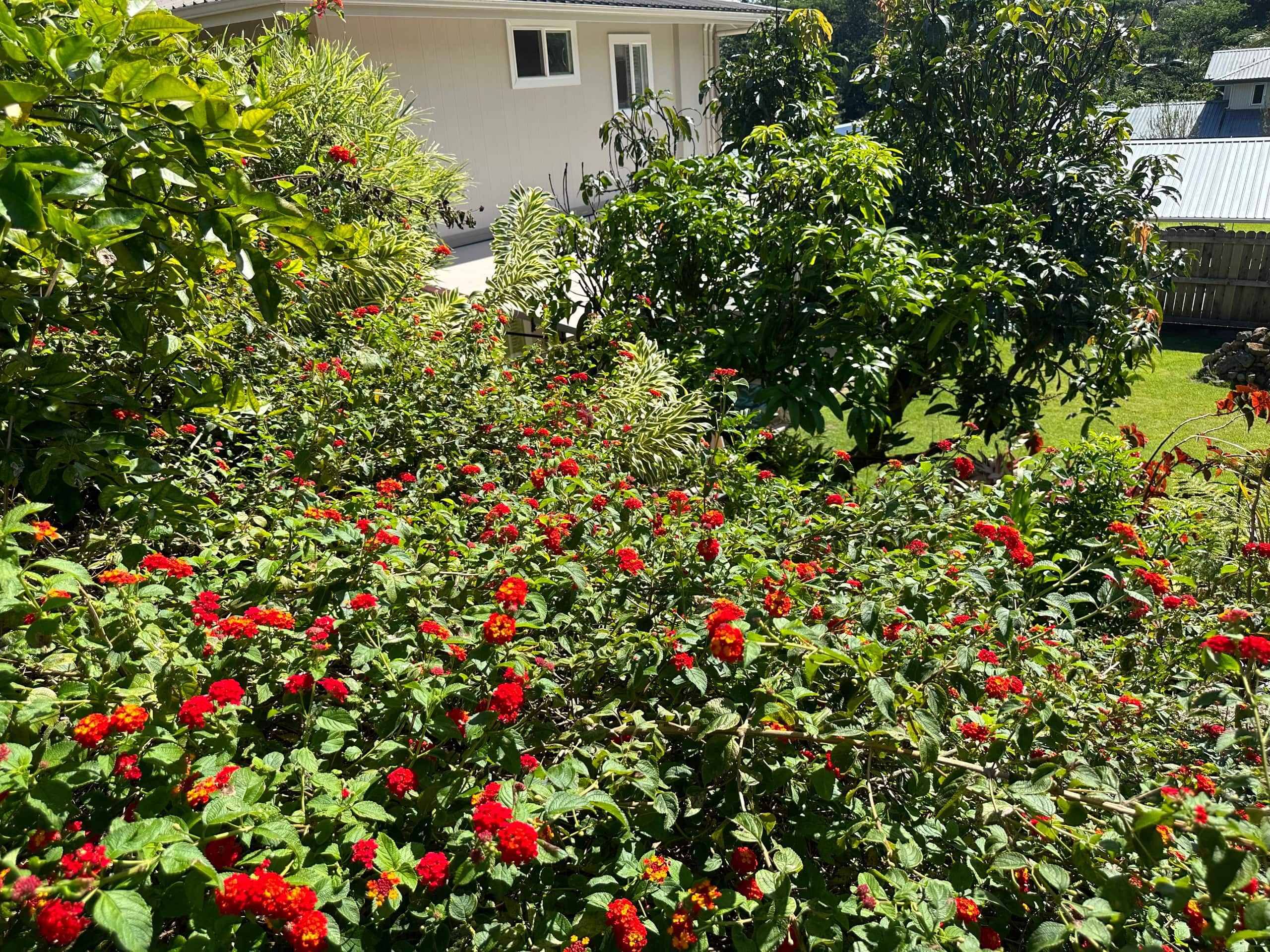 Rivendell Oasis: Private Hot tub! NO cleaning fee! - Image 20