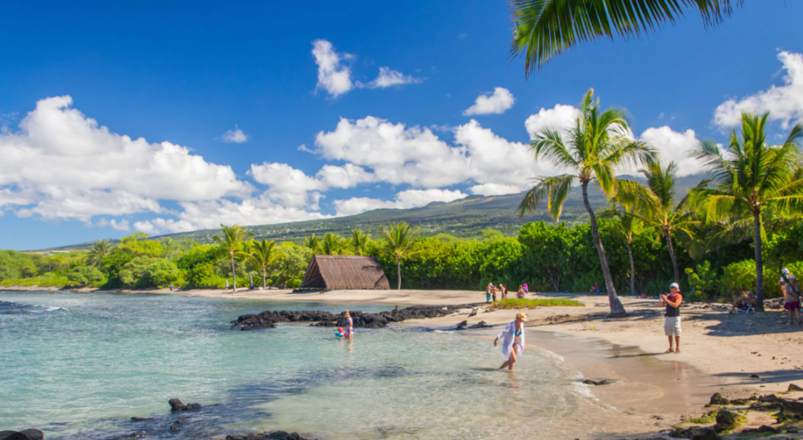 Kona Suite | Pool, Beach Gear & Aloha Hospitality - Photo 25