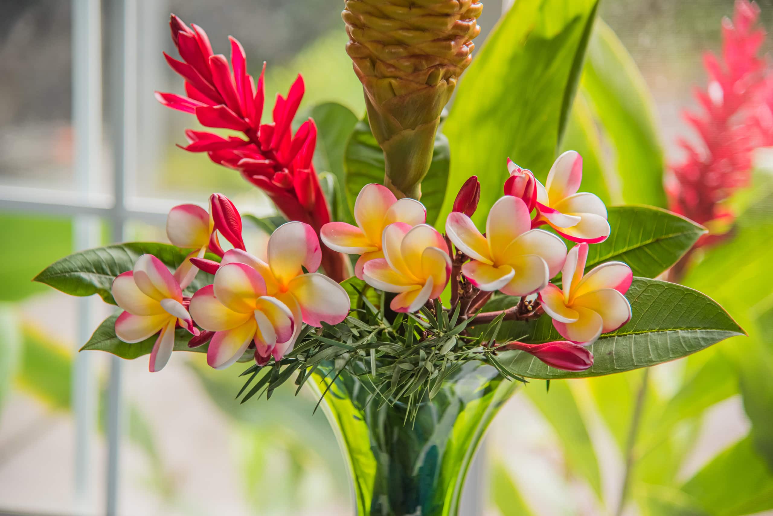 Your Big Island Escape - King Bed & A/C - Image 10