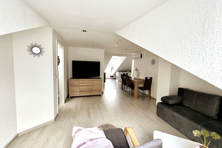Full comfort apartment, air conditioning, free bicycles