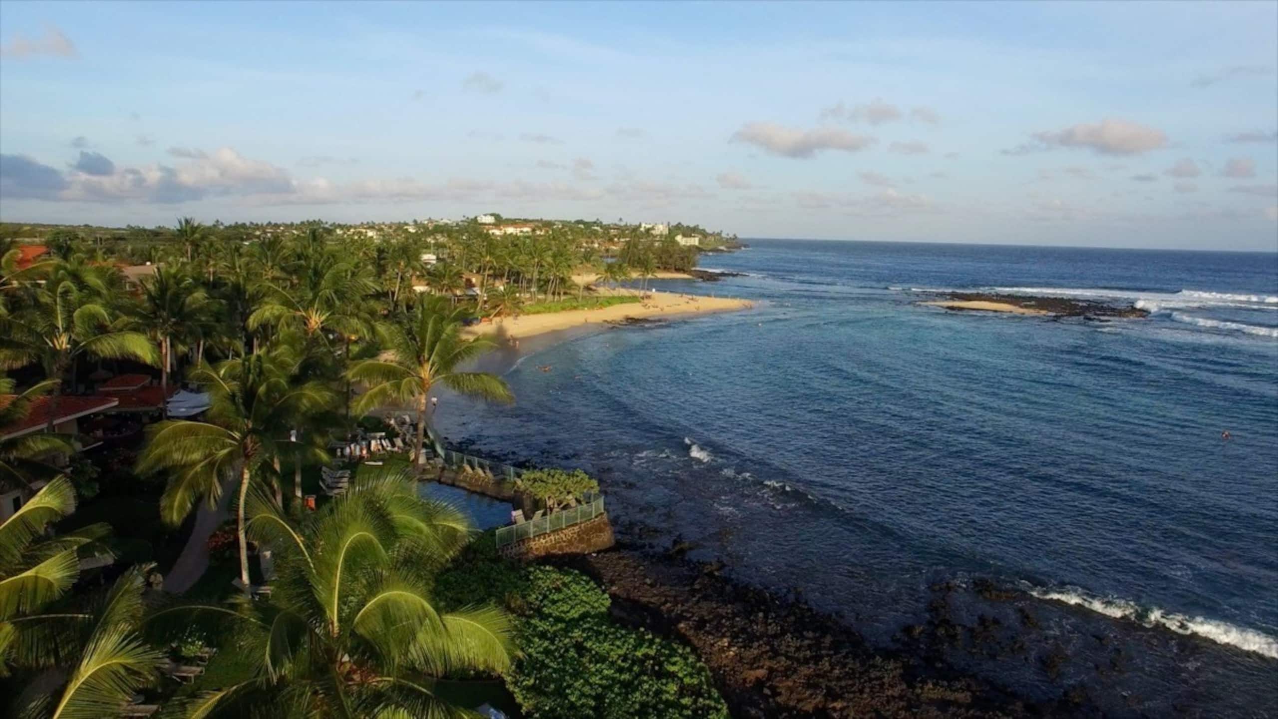 Condo in Koloa · ★4.83 · 3 bedrooms · 3 beds · 1 bath - Photo 49