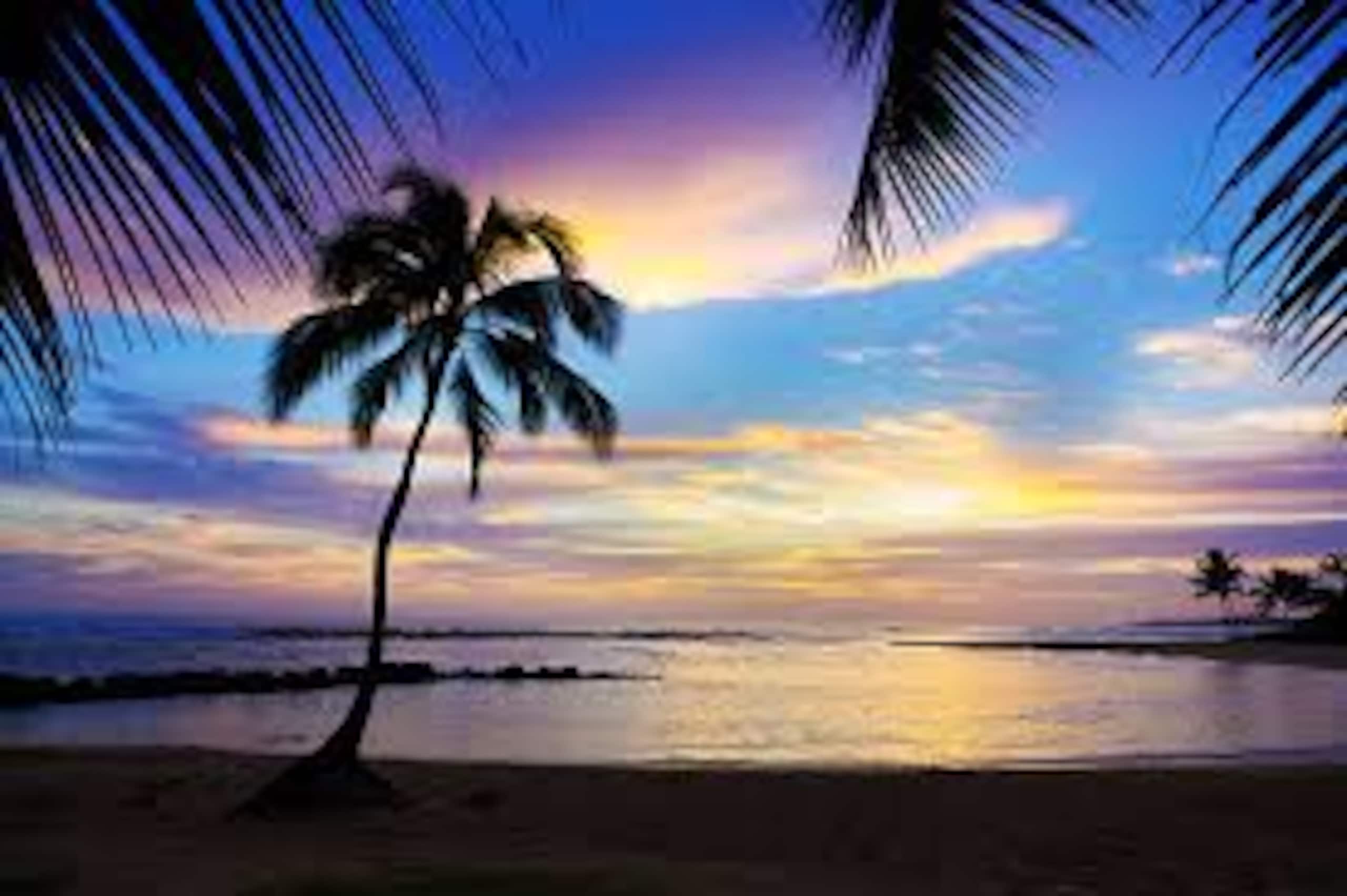 Condo in Koloa · ★4.83 · 3 bedrooms · 3 beds · 1 bath - Photo 62