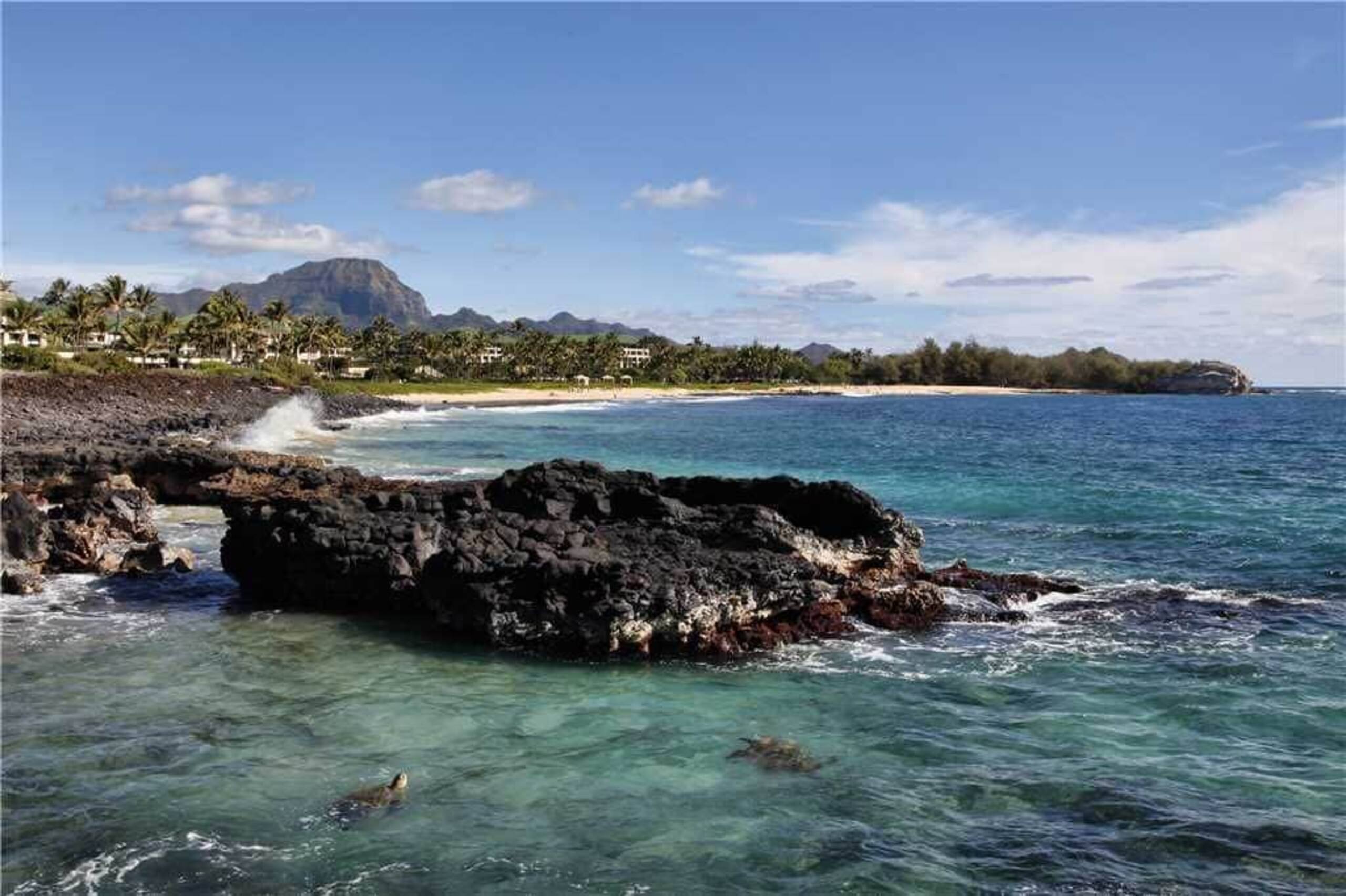 Condo in Koloa · ★4.83 · 3 bedrooms · 3 beds · 1 bath - Photo 70
