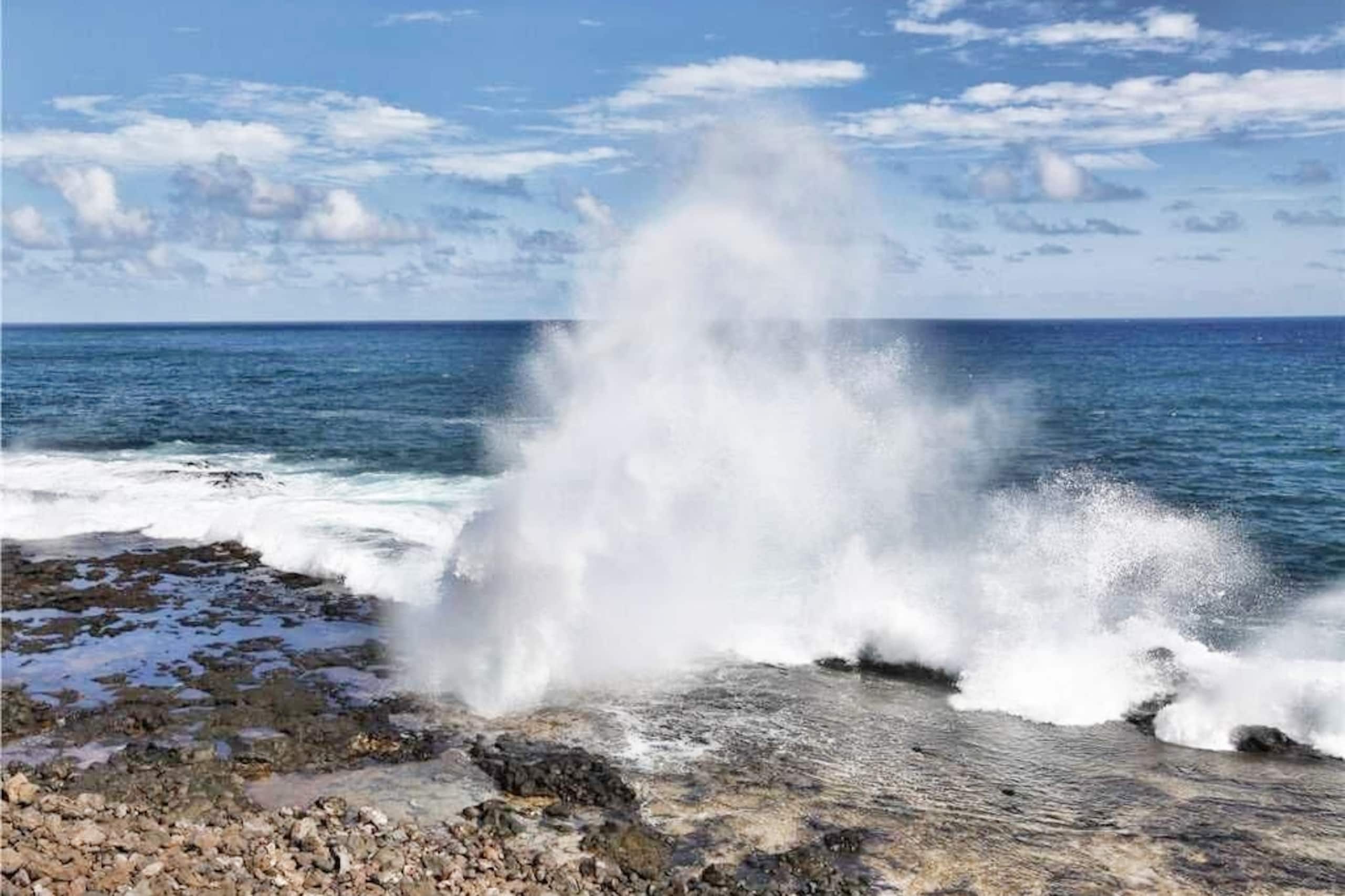 Condo in Koloa · ★4.83 · 3 bedrooms · 3 beds · 1 bath - Photo 56