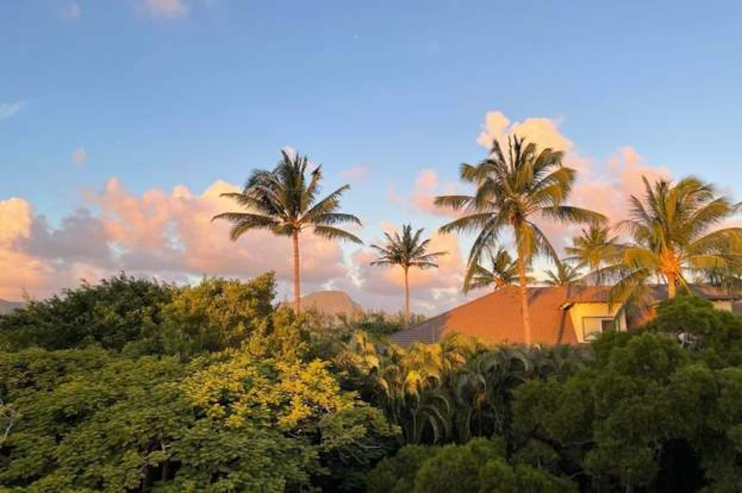 Condo in Koloa · ★4.83 · 3 bedrooms · 3 beds · 1 bath - Photo 63