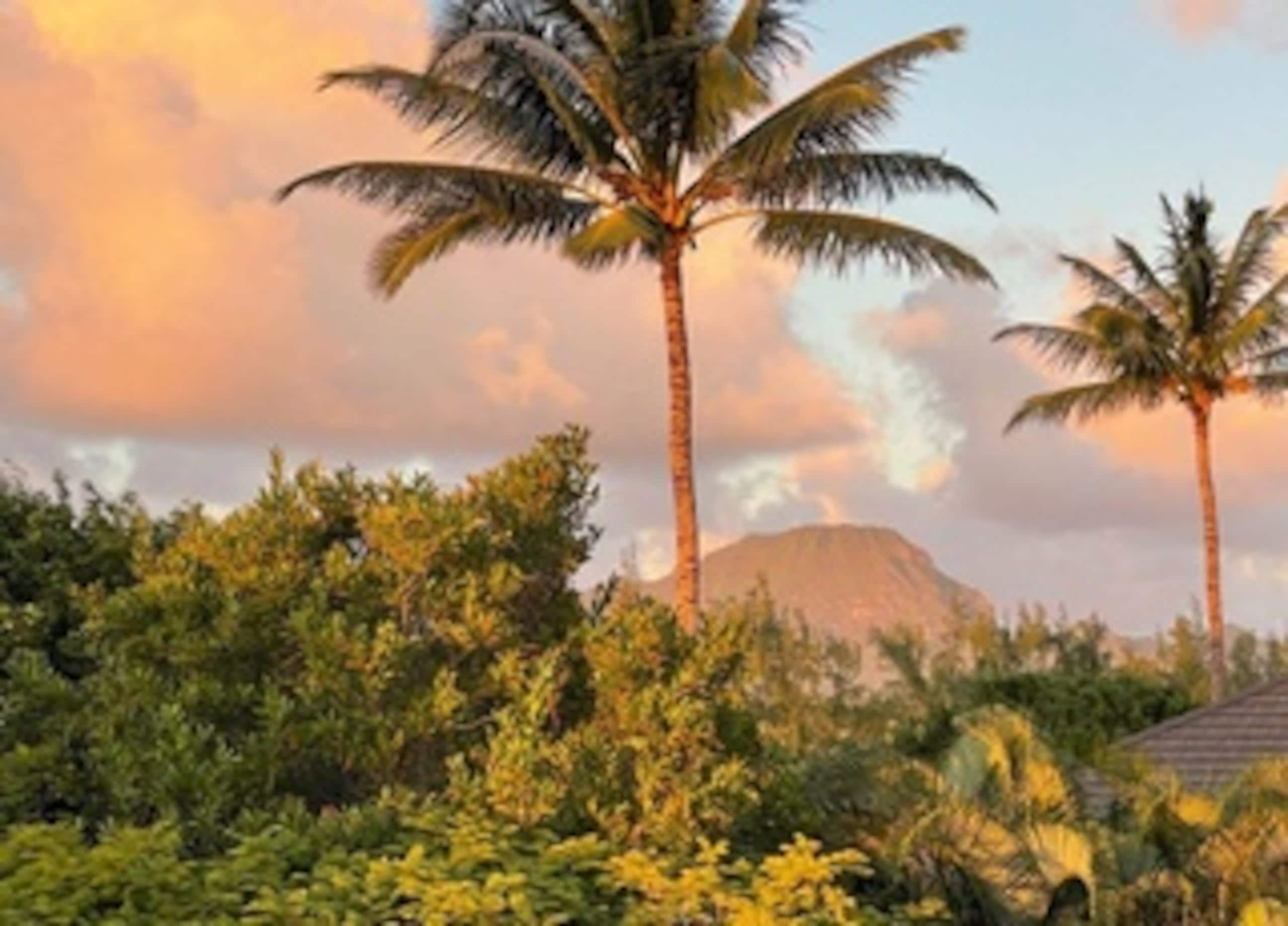 Condo in Koloa · ★4.83 · 3 bedrooms · 3 beds · 1 bath - Photo 64