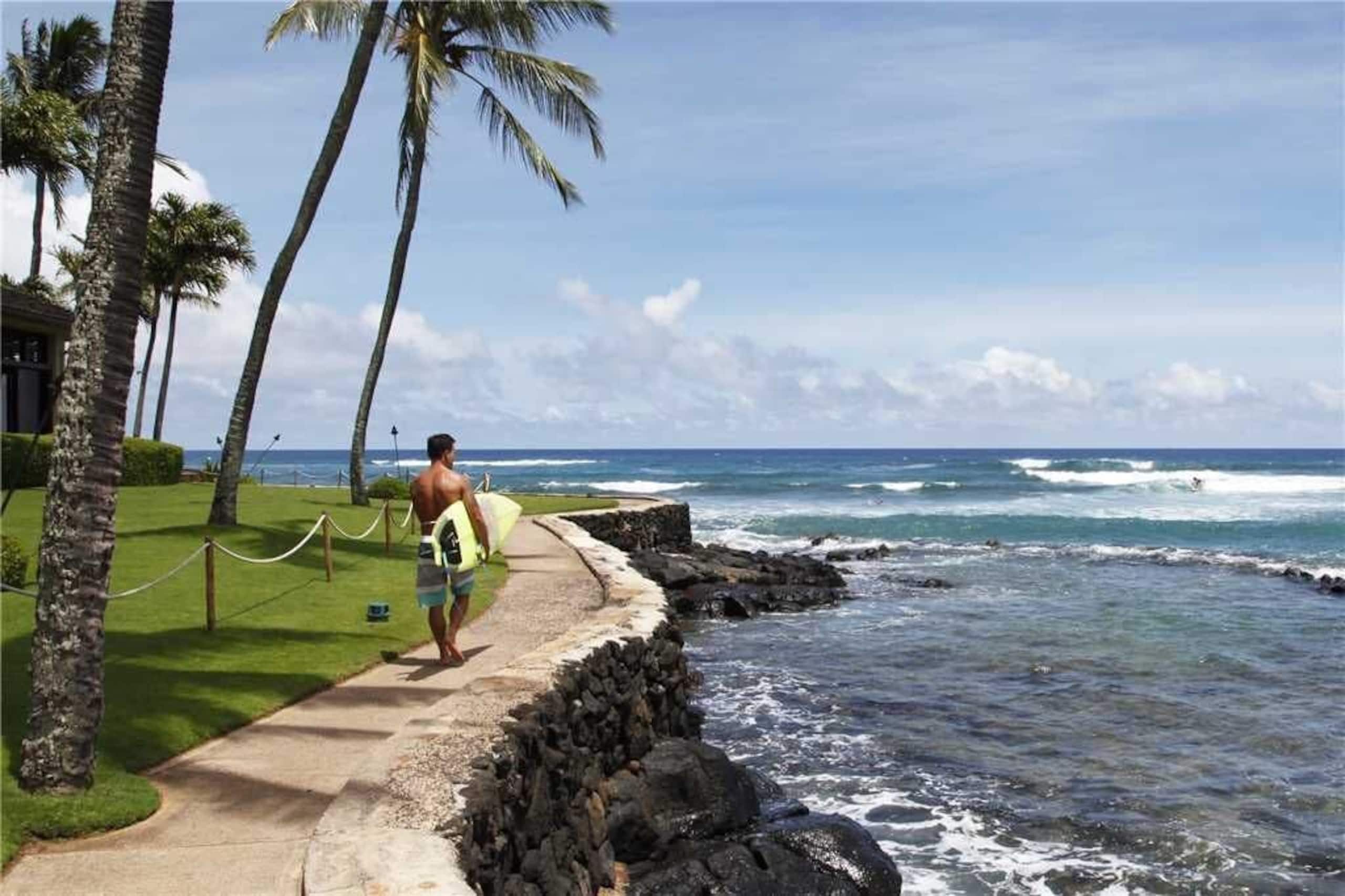Condo in Koloa · ★4.83 · 3 bedrooms · 3 beds · 1 bath - Photo 47