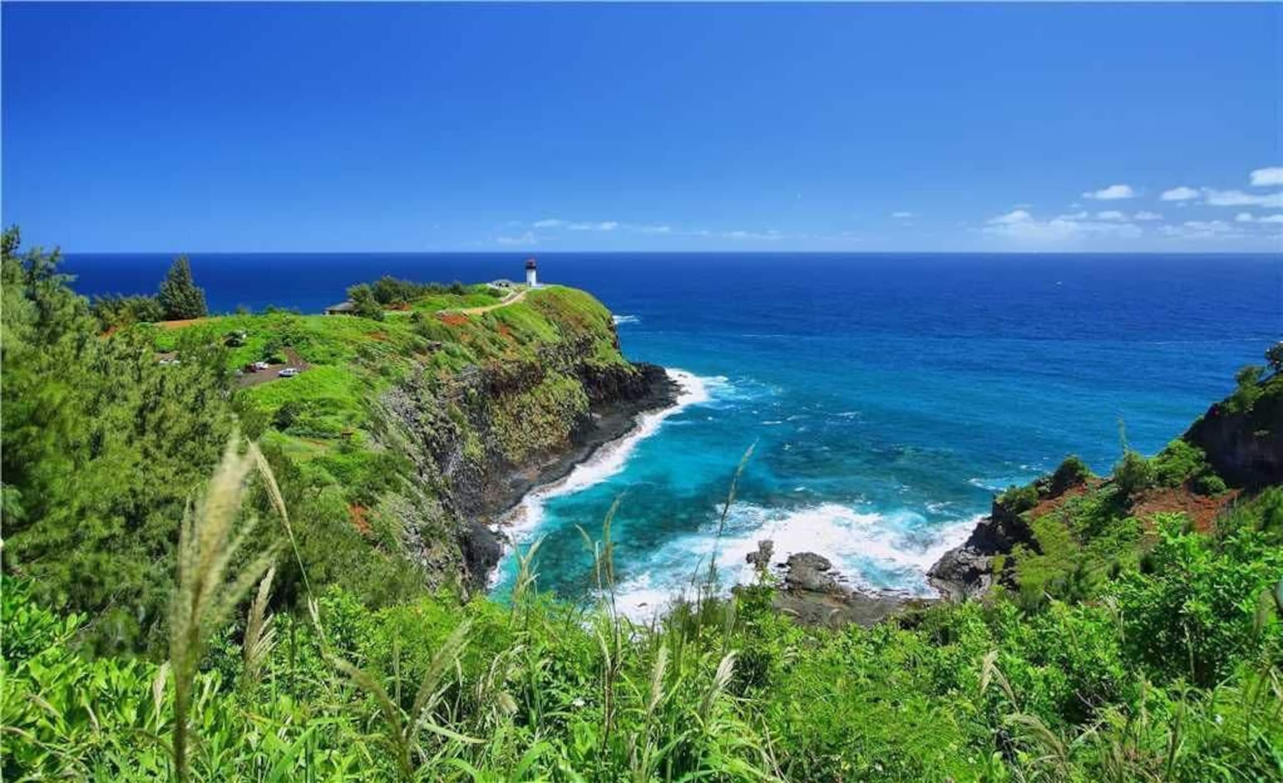 Condo in Koloa · ★4.83 · 3 bedrooms · 3 beds · 1 bath - Photo 60