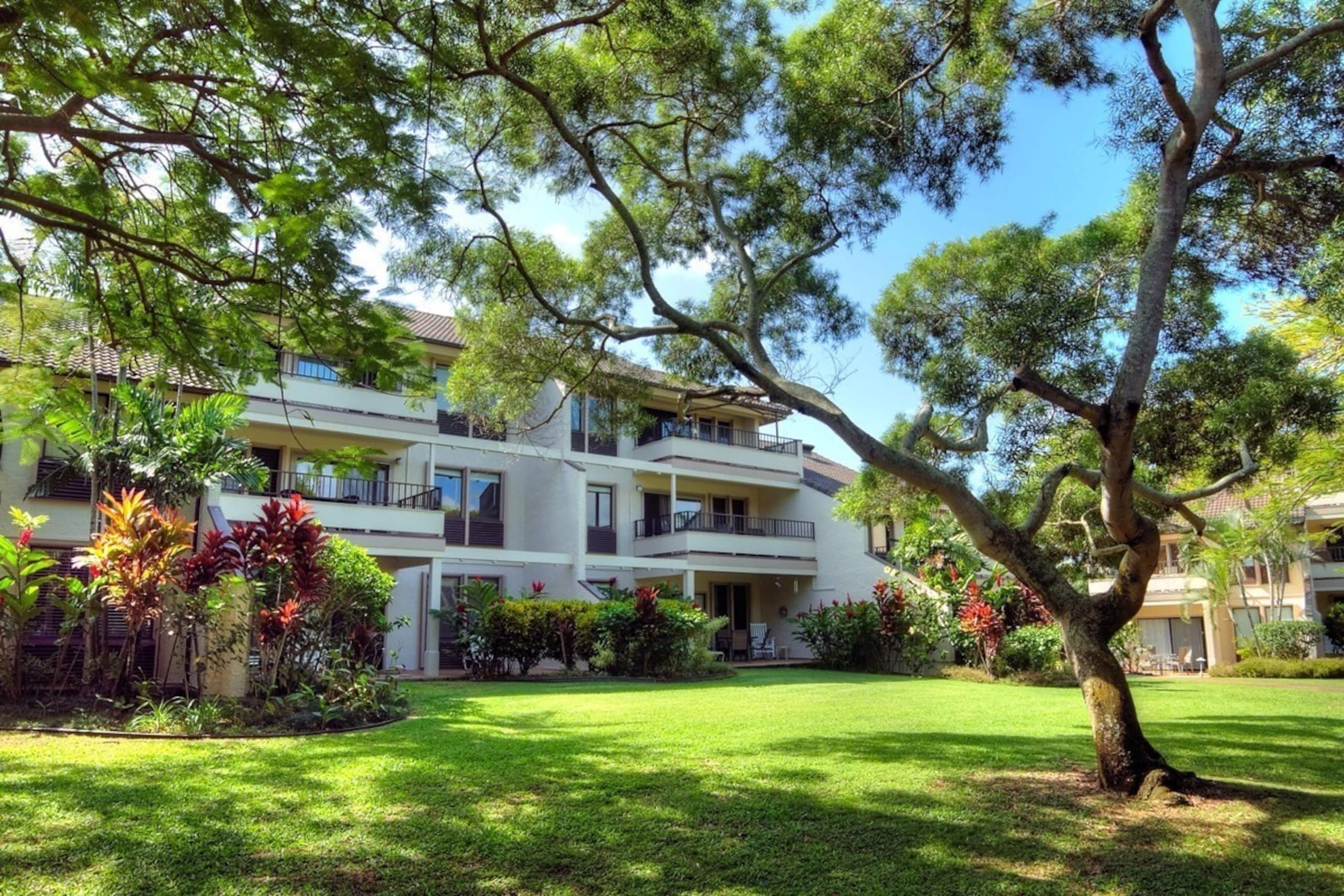Condo in Koloa · ★4.83 · 3 bedrooms · 3 beds · 1 bath - Photo 25