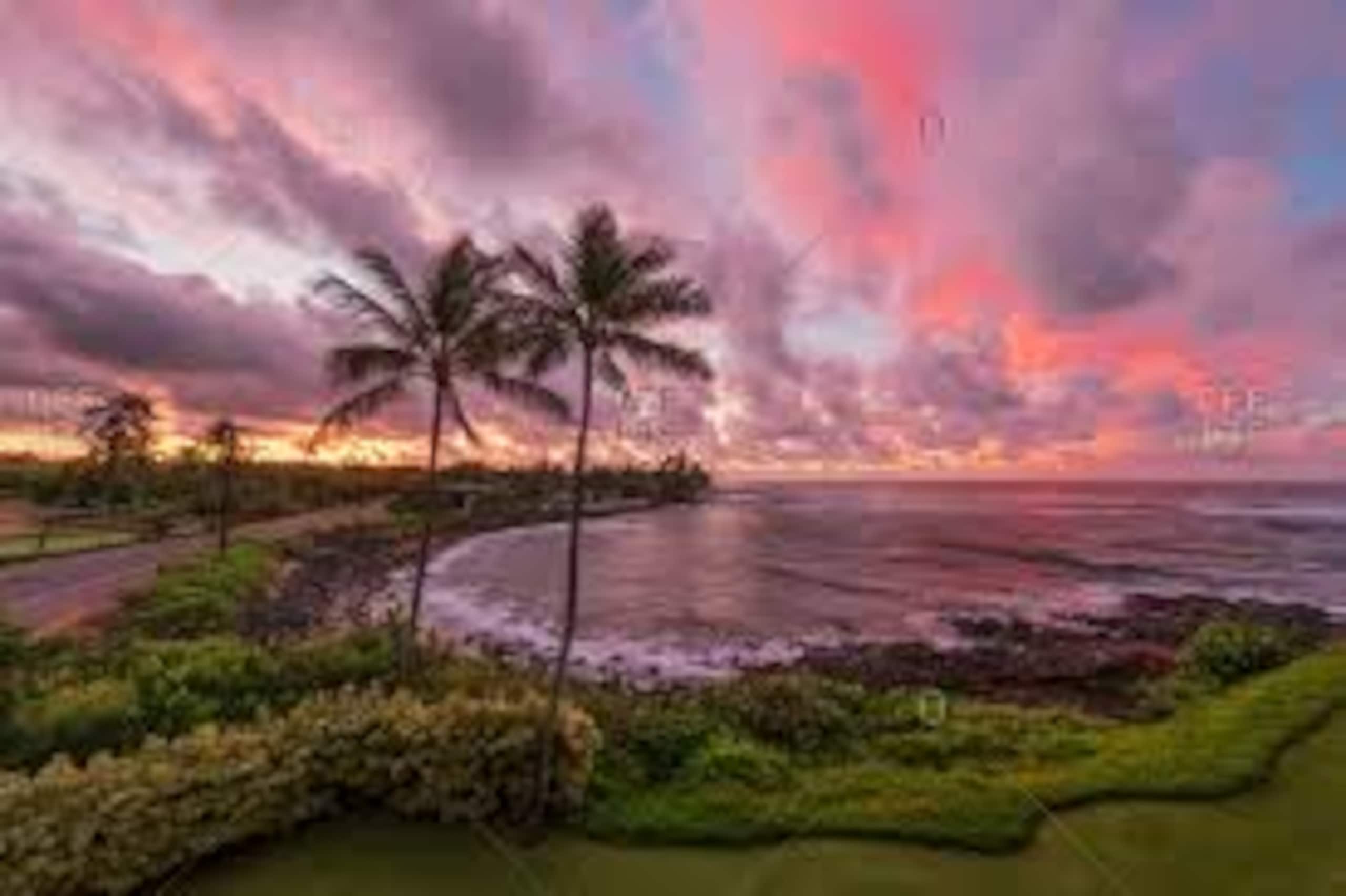 Condo in Koloa · ★4.83 · 3 bedrooms · 3 beds · 1 bath - Photo 48