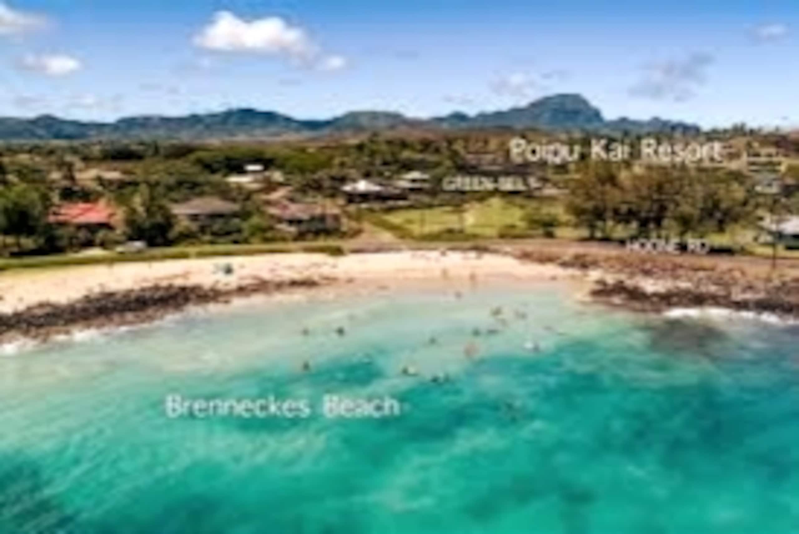 Condo in Koloa · ★4.83 · 3 bedrooms · 3 beds · 1 bath - Photo 55