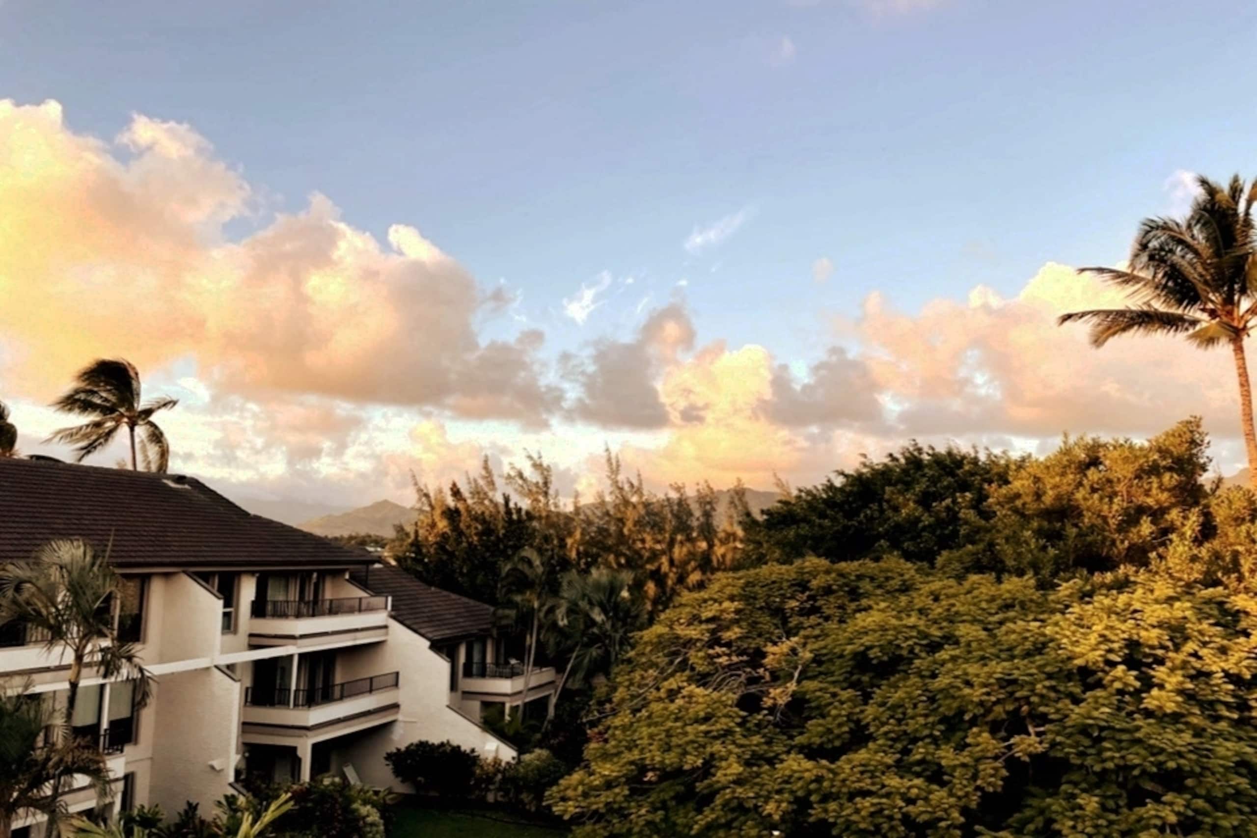 Condo in Koloa · ★4.83 · 3 bedrooms · 3 beds · 1 bath - Photo 31