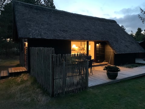 Summer cottage coziness at Sønderho with annex and car charger