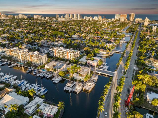 Blue Marlin – 203 gallery image 4