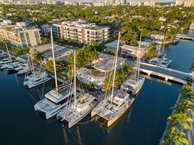 Blue Marlin – 203 gallery image 2