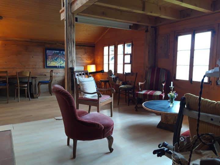 Breitmoos Loft Wetterhornblick - Hasliberg