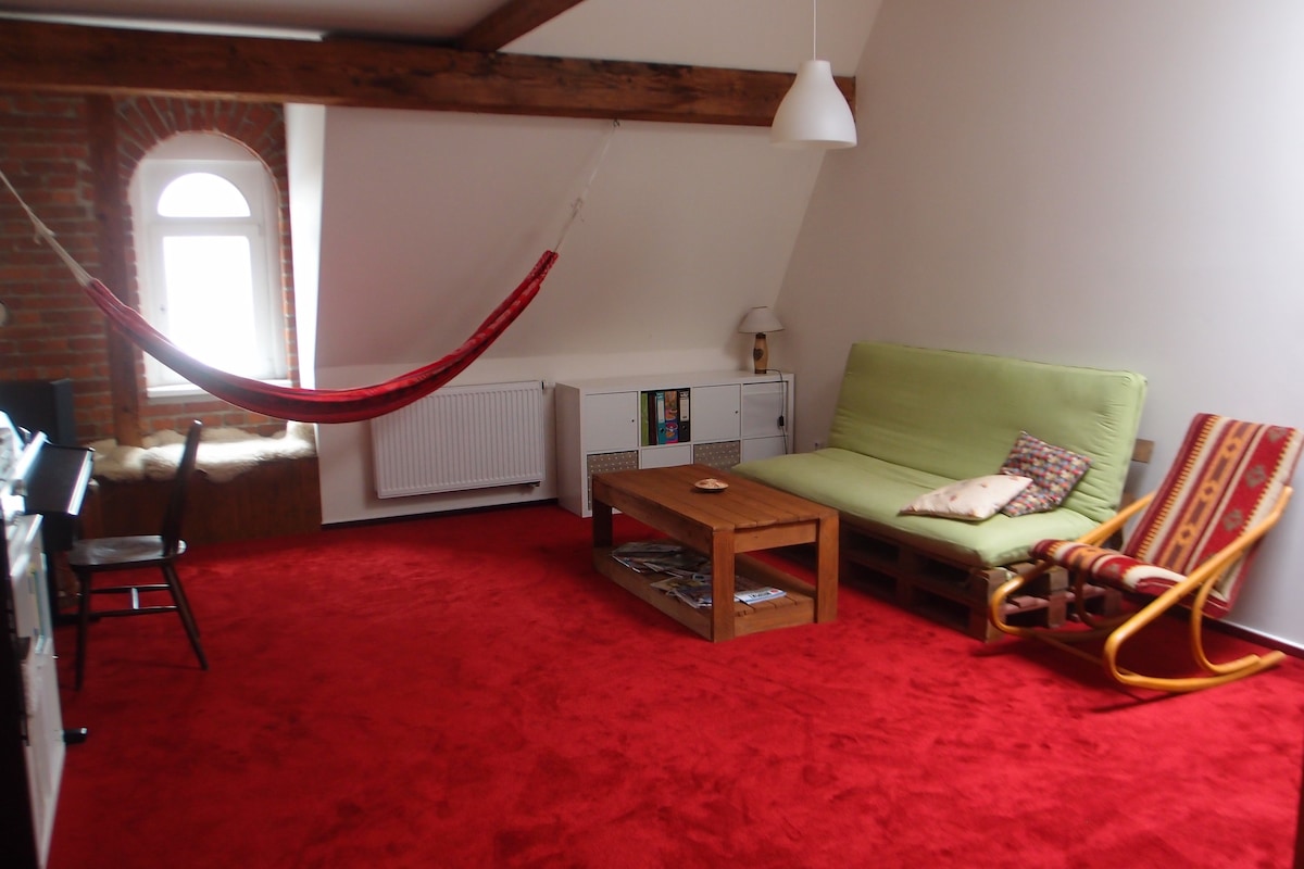Opava Vacation Rentals & Homes - Moravian-Silesian Region, Czechia | Airbnb
