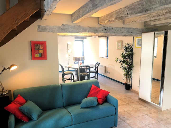 Gîte Dans Le Poitou, Piscine, Parc Clos - La Bussière