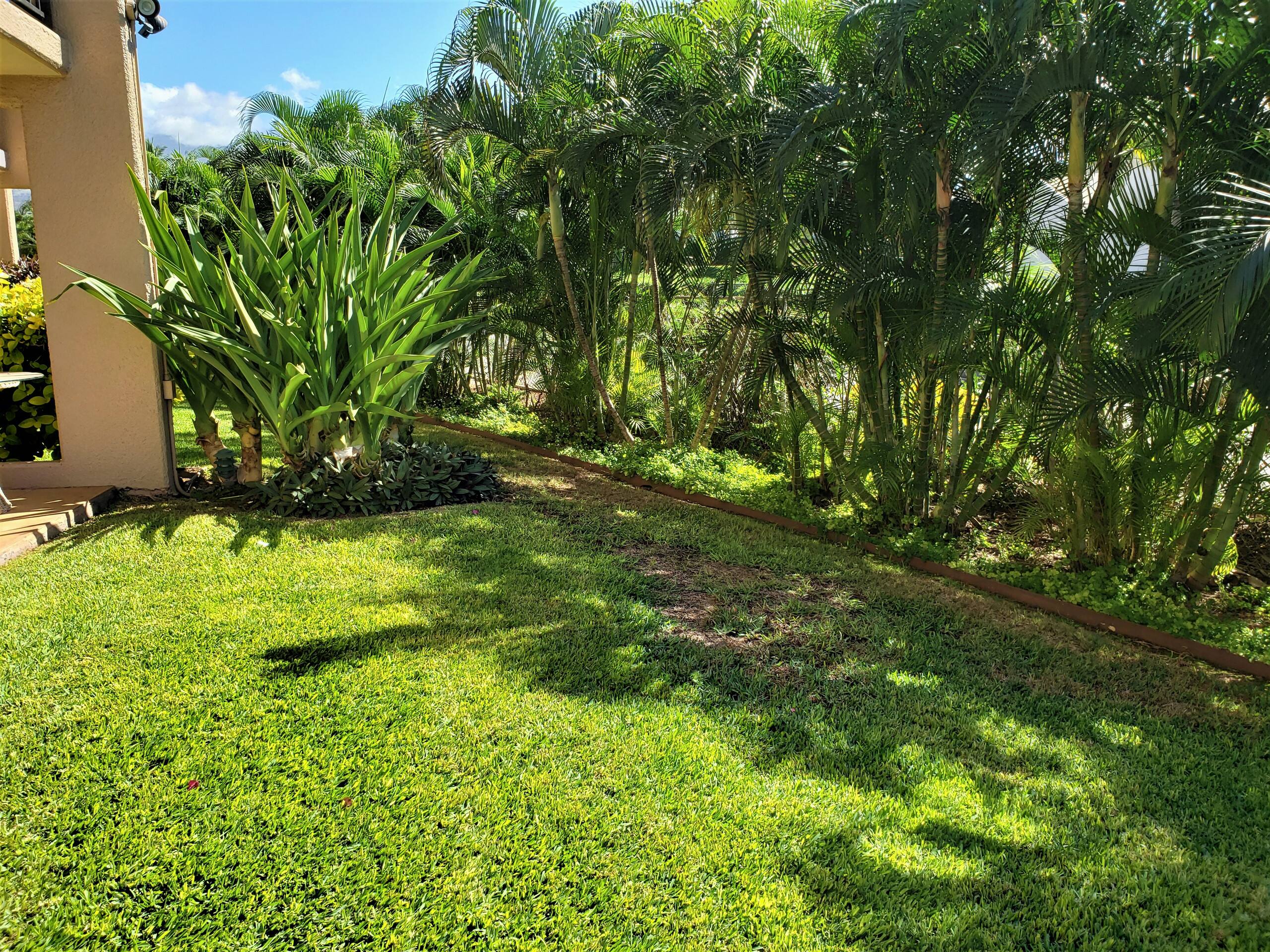 Condo in Kihei · ★4.79 · 3 bedrooms · 5 beds · 2 shared baths - Image 22